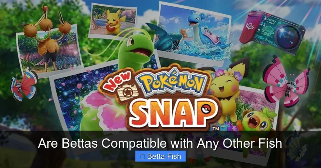 Are Bettas Compatible with Any Other Fish