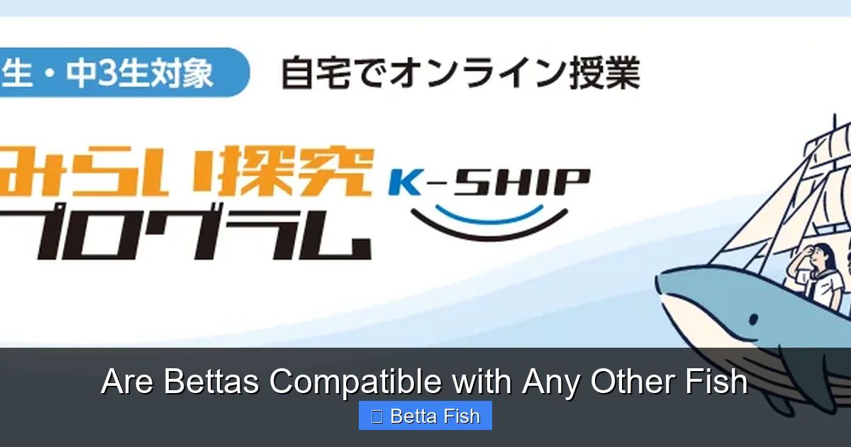 Are Bettas Compatible with Any Other Fish
