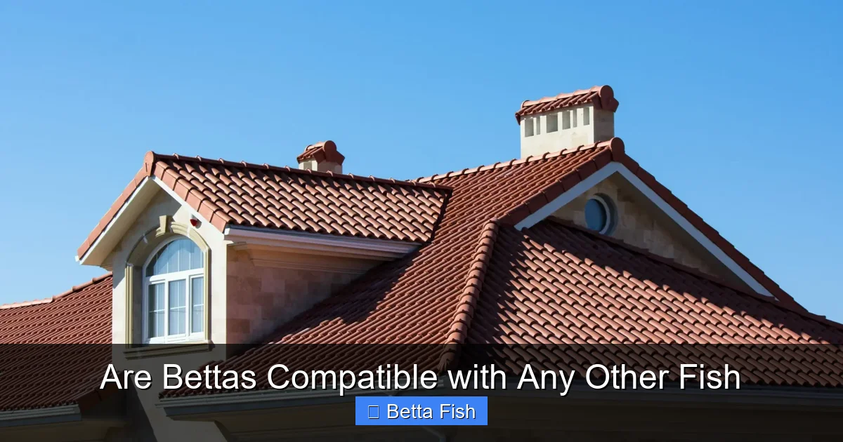 Are Bettas Compatible with Any Other Fish