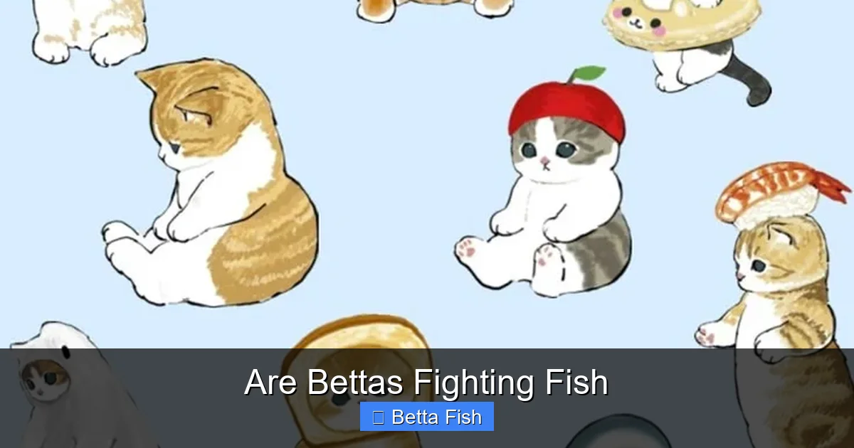 Are Bettas Fighting Fish
