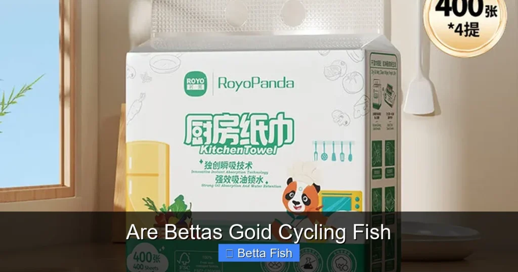 Are Bettas Goid Cycling Fish