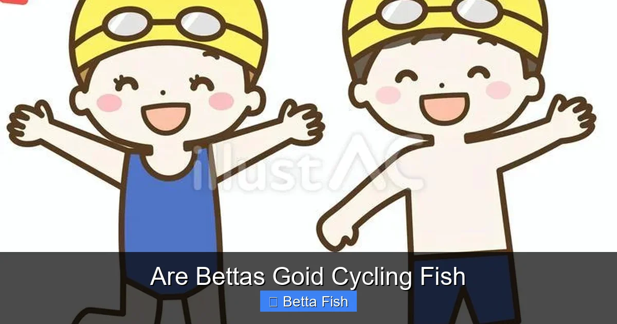 Are Bettas Goid Cycling Fish