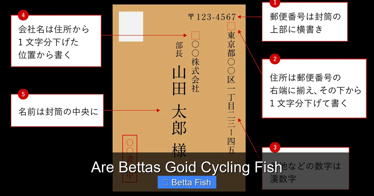 Are Bettas Goid Cycling Fish