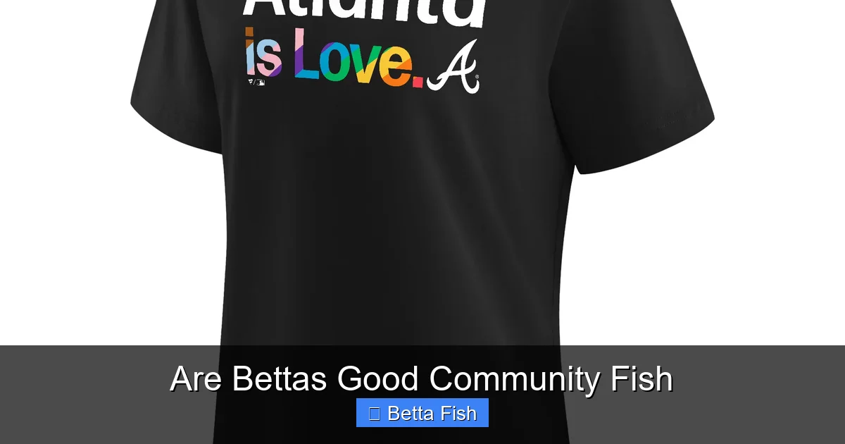Are Bettas Good Community Fish