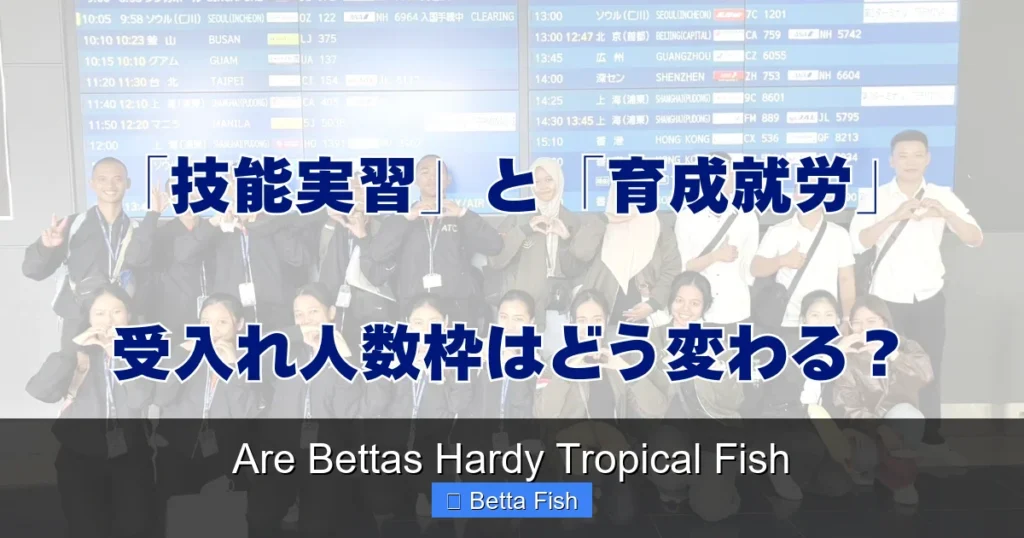 Are Bettas Hardy Tropical Fish