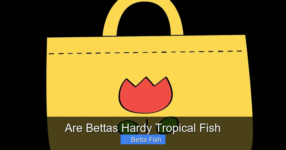 Are Bettas Hardy Tropical Fish