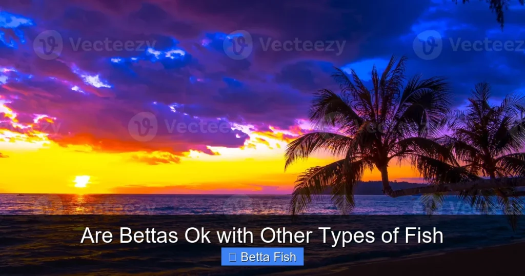 Are Bettas Ok with Other Types of Fish