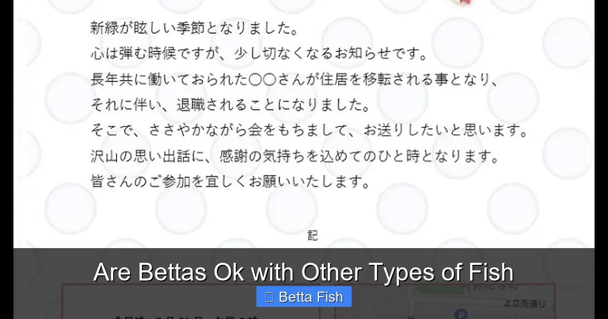 Are Bettas Ok with Other Types of Fish