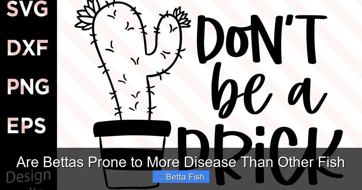 Are Bettas Prone to More Disease Than Other Fish