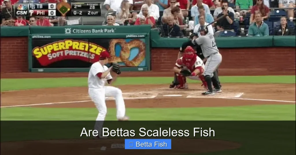 Are Bettas Scaleless Fish