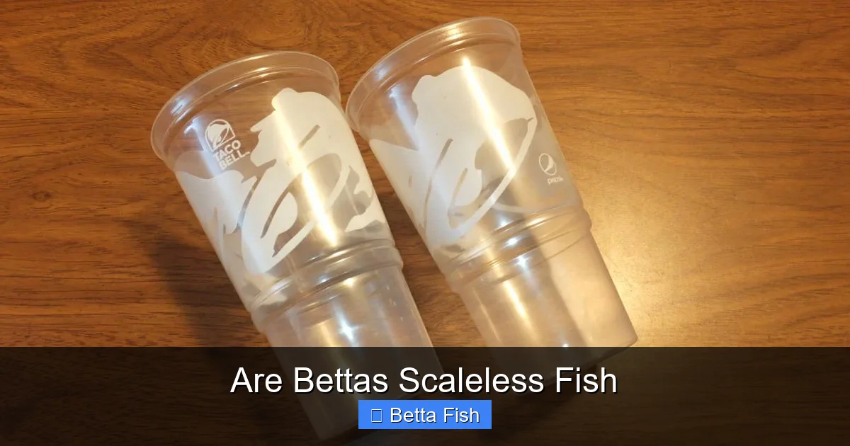 Are Bettas Scaleless Fish