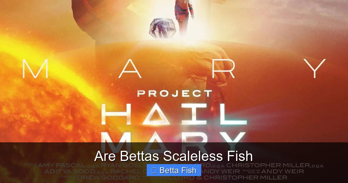Are Bettas Scaleless Fish