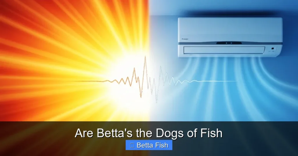 Are Betta's the Dogs of Fish