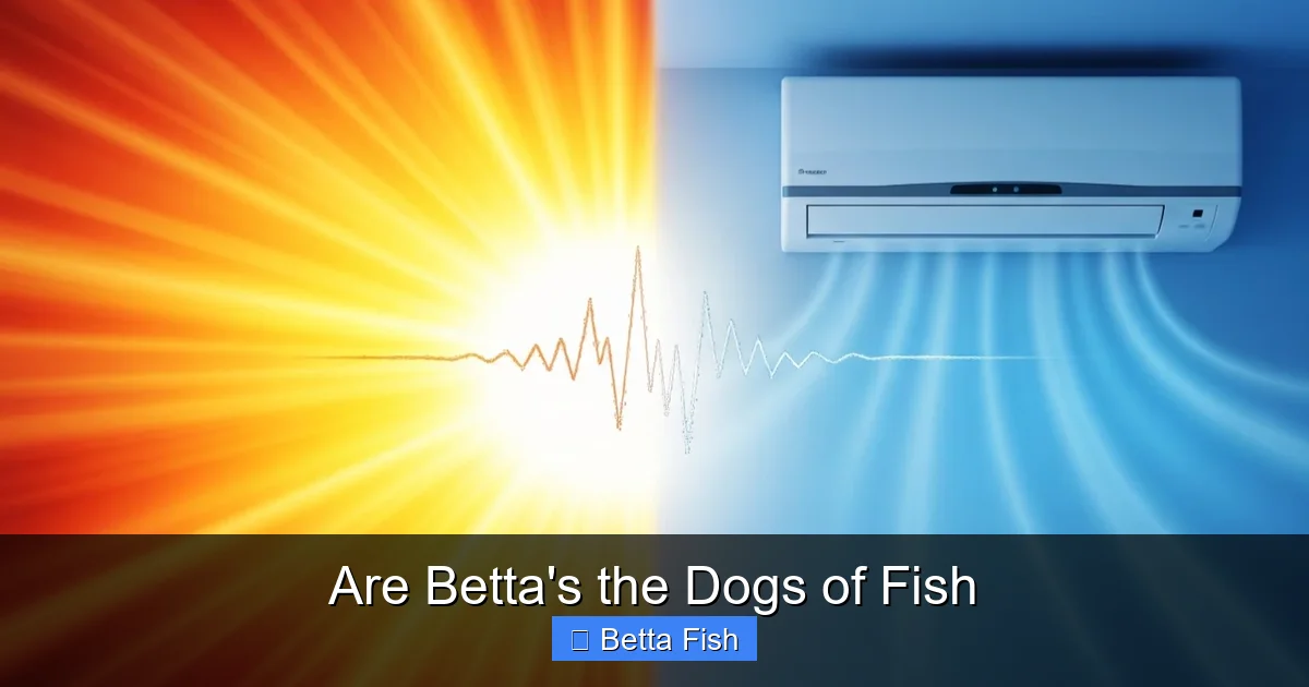 Are Betta's the Dogs of Fish