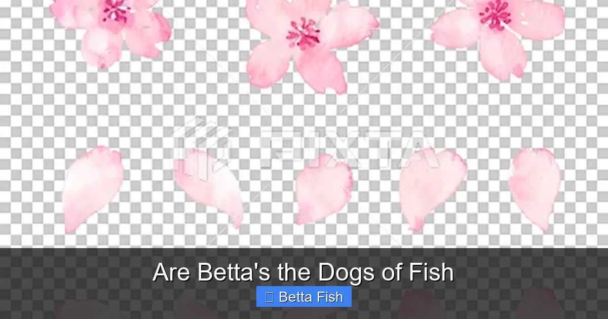Are Betta's the Dogs of Fish