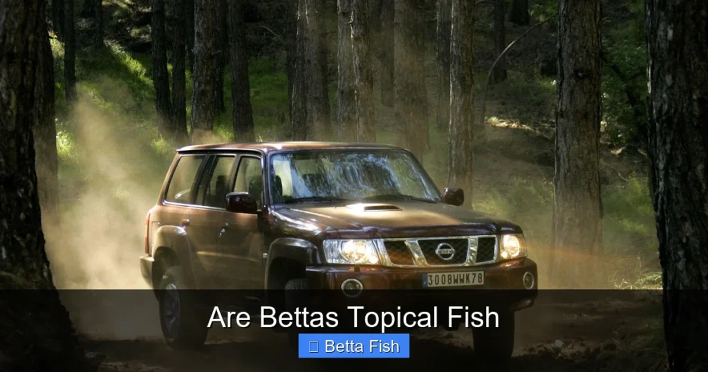 Are Bettas Topical Fish