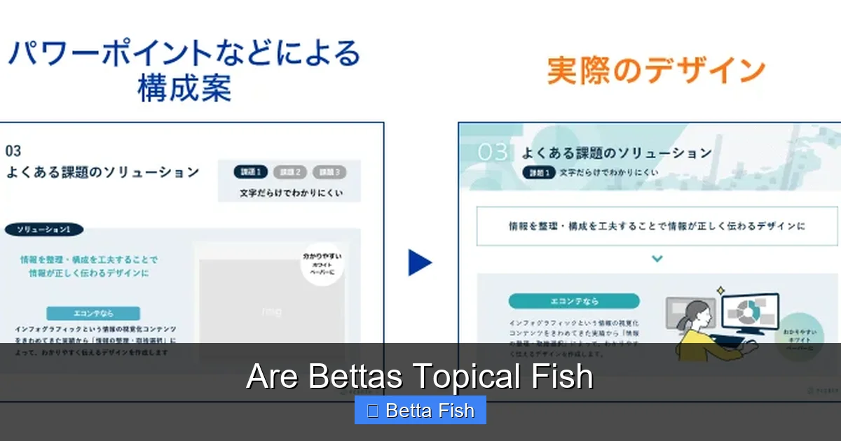 Are Bettas Topical Fish