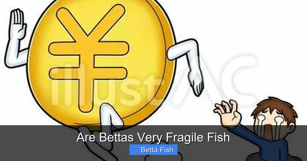 Are Bettas Very Fragile Fish