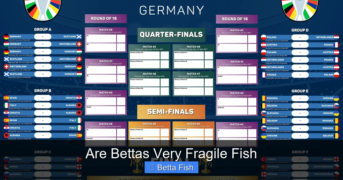 Are Bettas Very Fragile Fish
