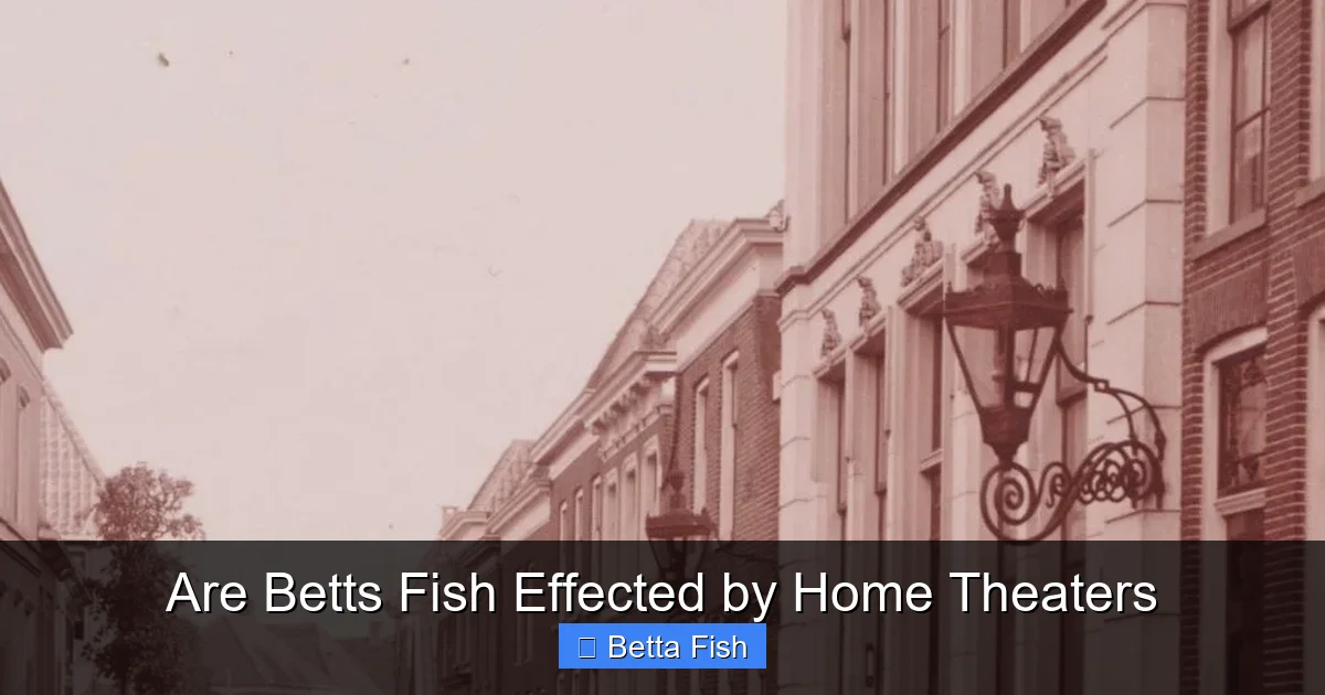 Are Betts Fish Effected by Home Theaters
