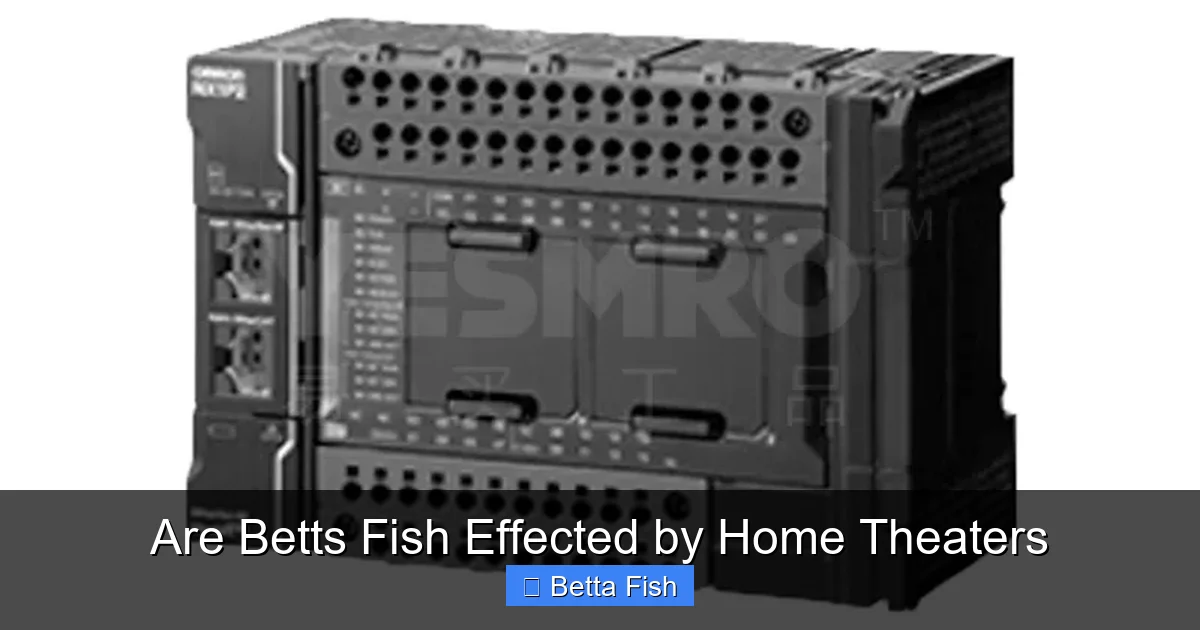 Are Betts Fish Effected by Home Theaters