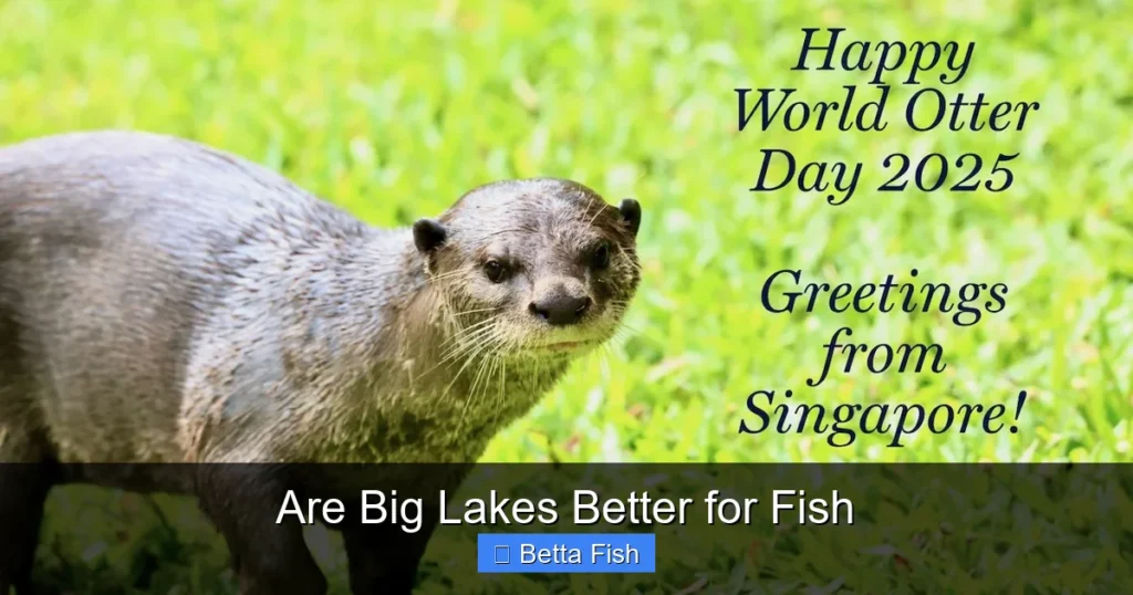 Are Big Lakes Better for Fish
