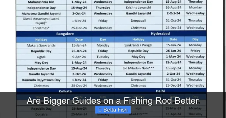 Are Bigger Guides on a Fishing Rod Better