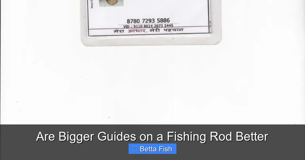Are Bigger Guides on a Fishing Rod Better