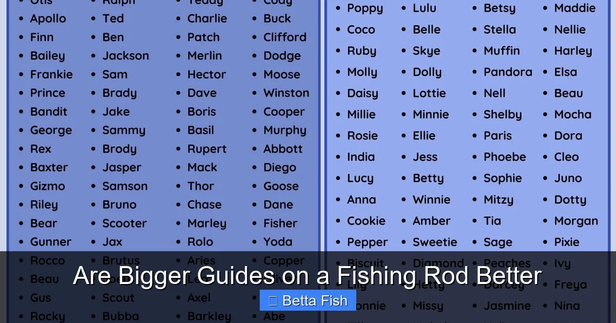 Are Bigger Guides on a Fishing Rod Better
