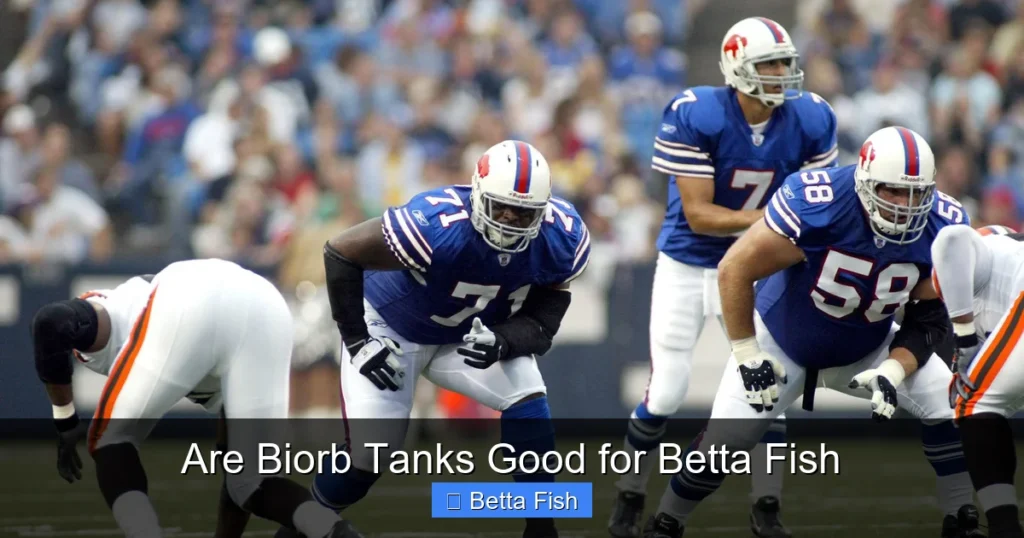 Are Biorb Tanks Good for Betta Fish