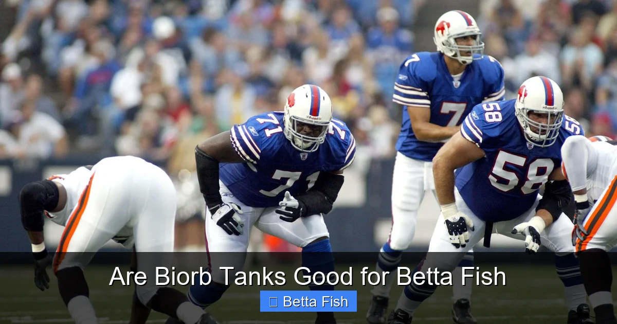 Are Biorb Tanks Good for Betta Fish