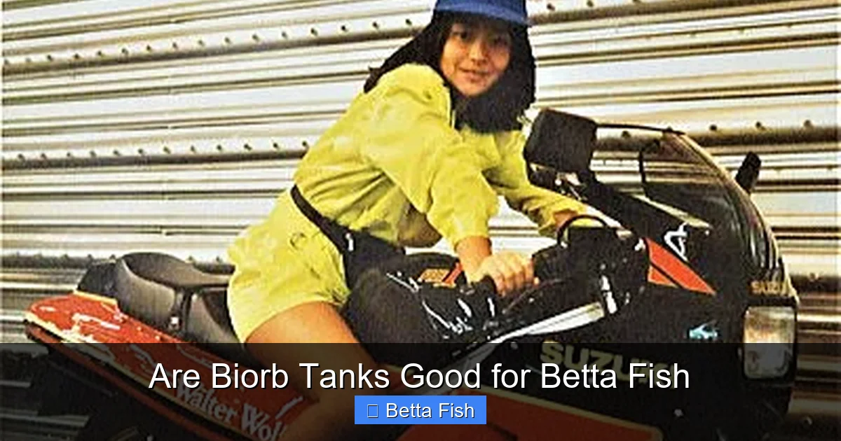 Are Biorb Tanks Good for Betta Fish