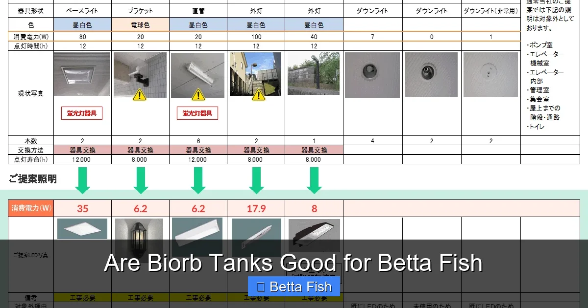 Are Biorb Tanks Good for Betta Fish