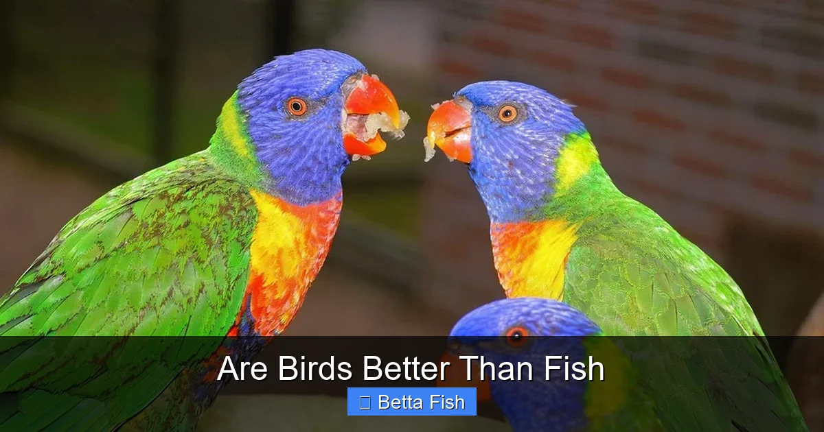 Are Birds Better Than Fish