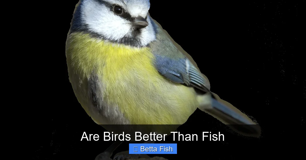 Are Birds Better Than Fish