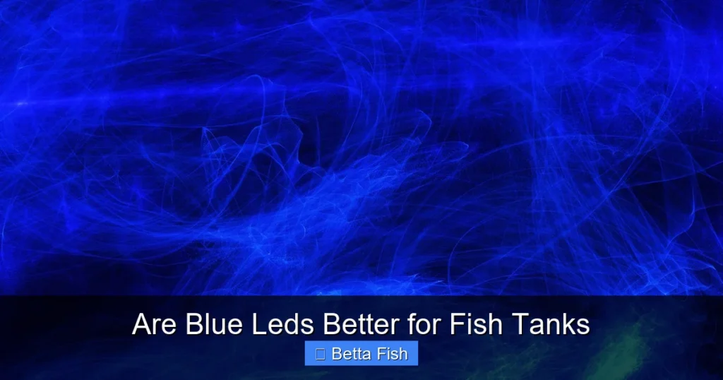 Are Blue Leds Better for Fish Tanks