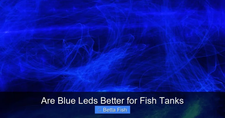 Are Blue Leds Better for Fish Tanks