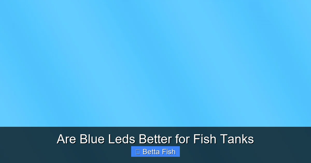 Are Blue Leds Better for Fish Tanks