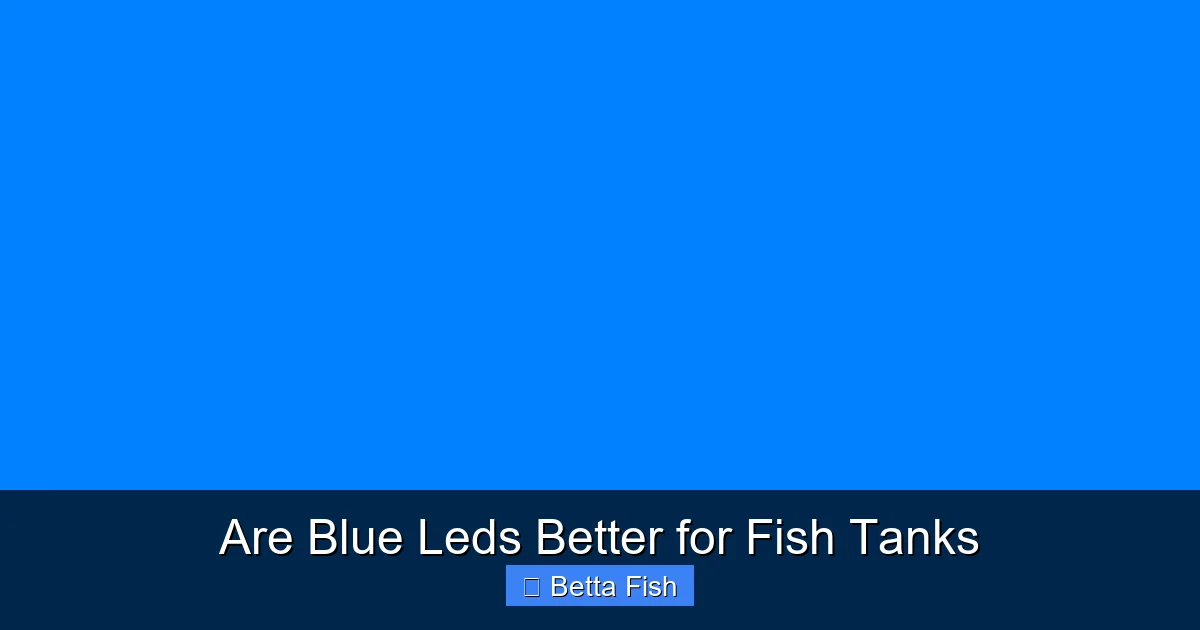 Are Blue Leds Better for Fish Tanks