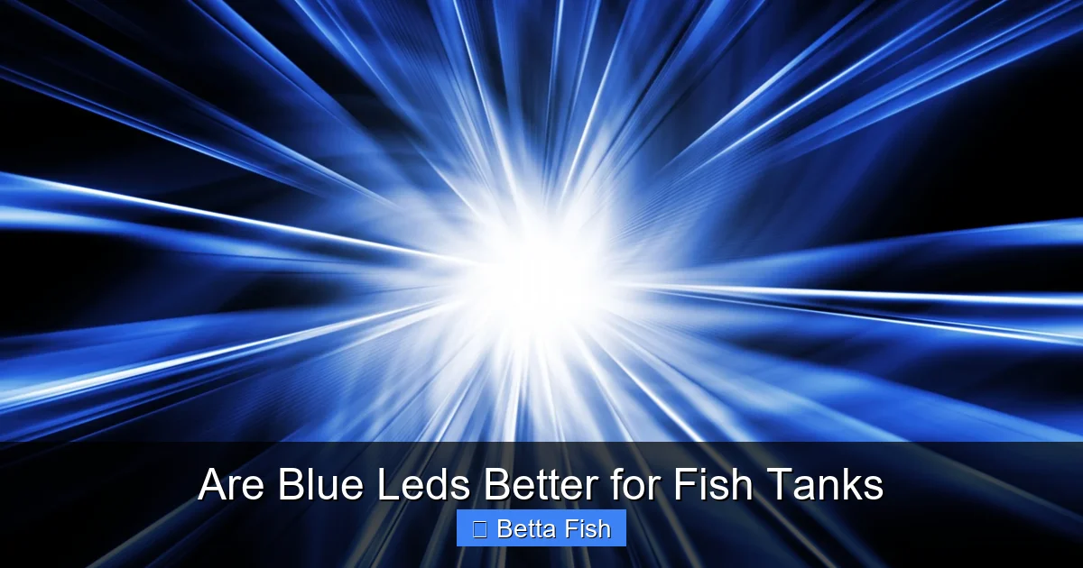 Are Blue Leds Better for Fish Tanks