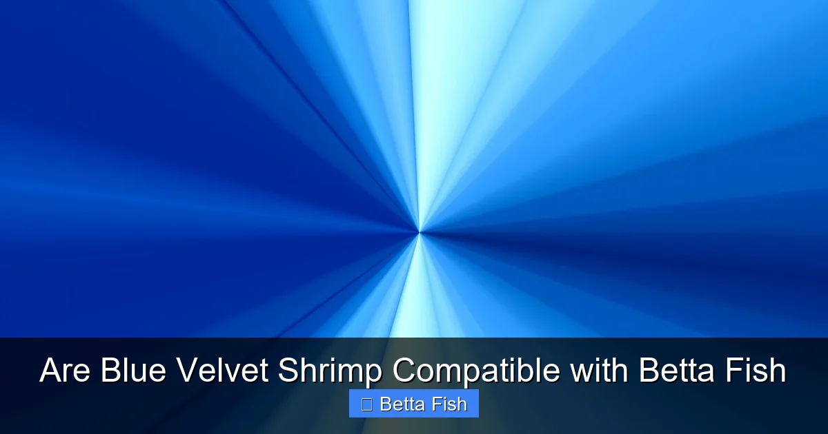 Are Blue Velvet Shrimp Compatible with Betta Fish