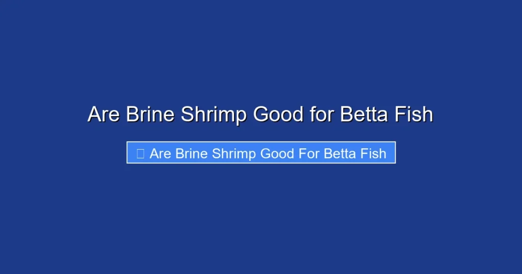 Are Brine Shrimp Good for Betta Fish