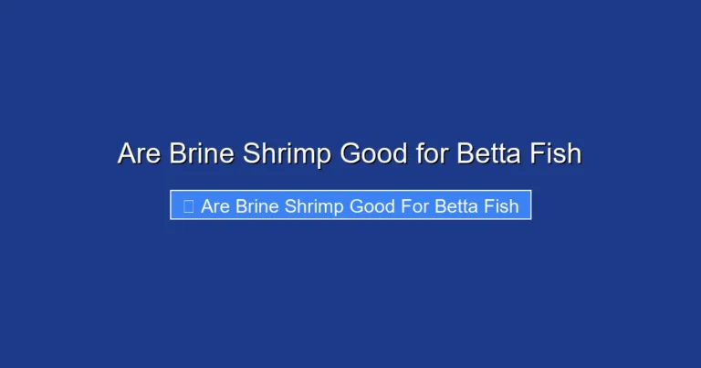 Are Brine Shrimp Good for Betta Fish