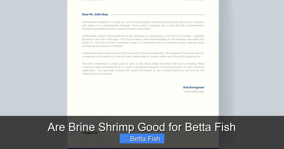 Are Brine Shrimp Good for Betta Fish