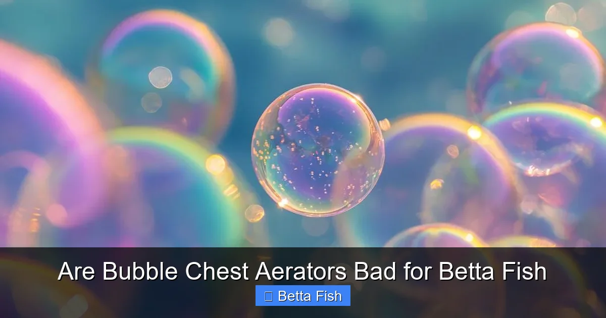 Are Bubble Chest Aerators Bad for Betta Fish