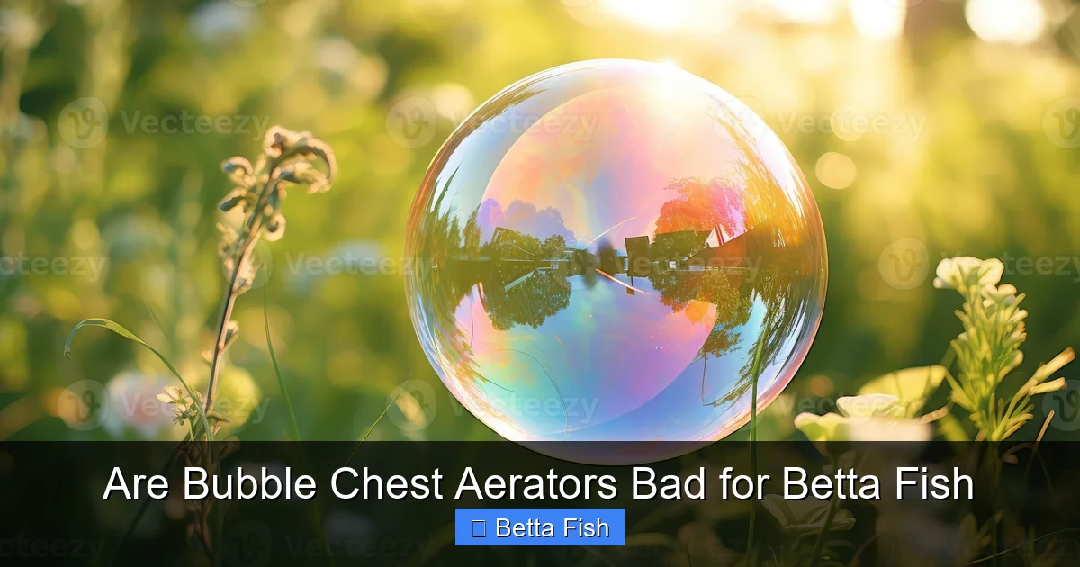 Are Bubble Chest Aerators Bad for Betta Fish