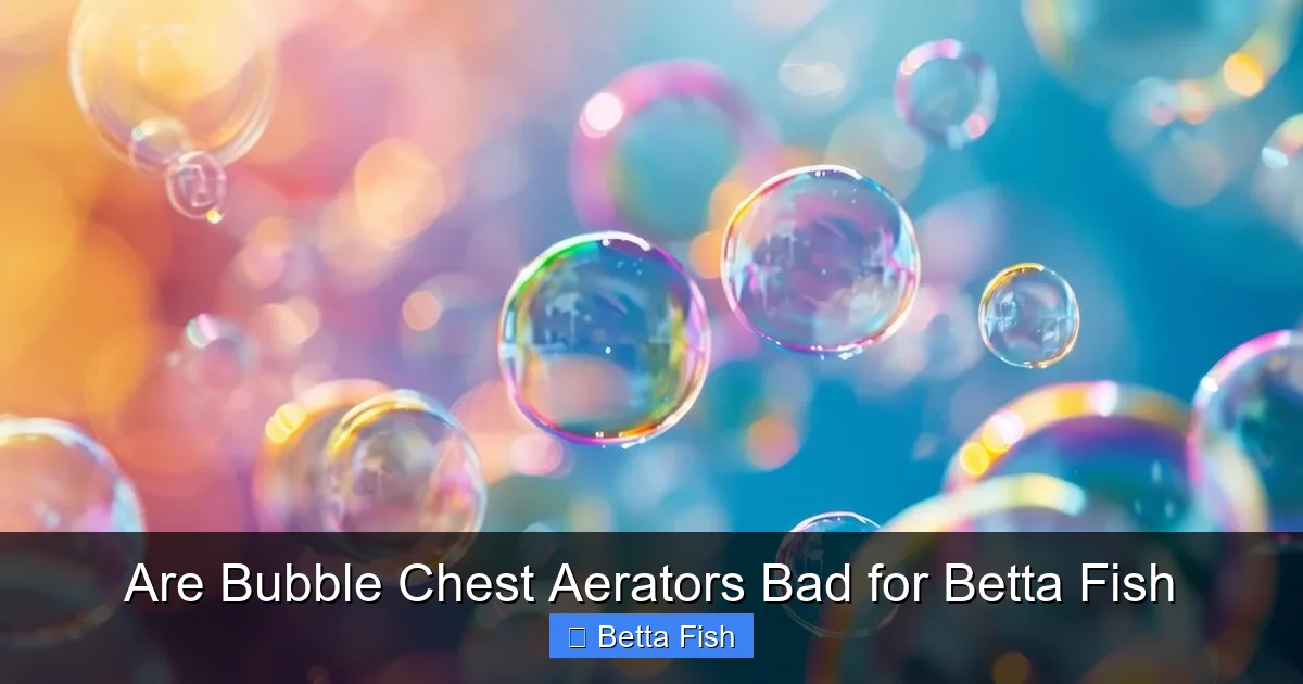 Are Bubble Chest Aerators Bad for Betta Fish