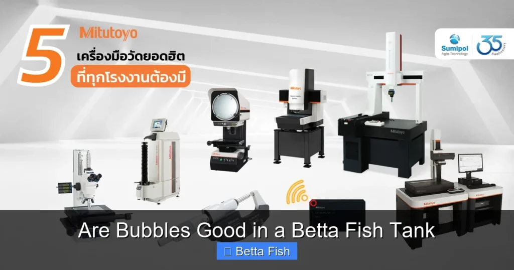 Are Bubbles Good in a Betta Fish Tank