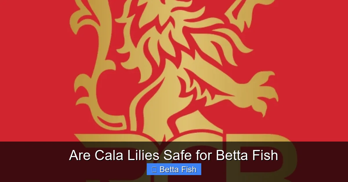 Are Cala Lilies Safe for Betta Fish