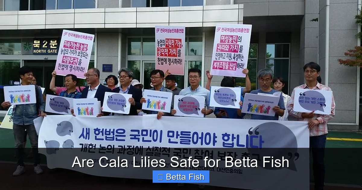 Are Cala Lilies Safe for Betta Fish